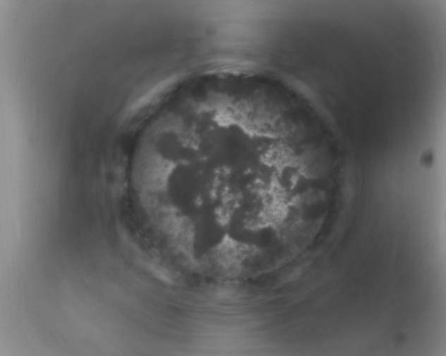 X0000110941399200907022123