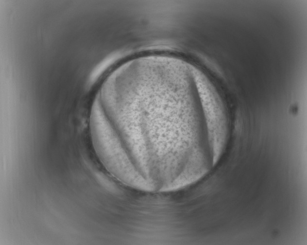 X0000110941400200907022123