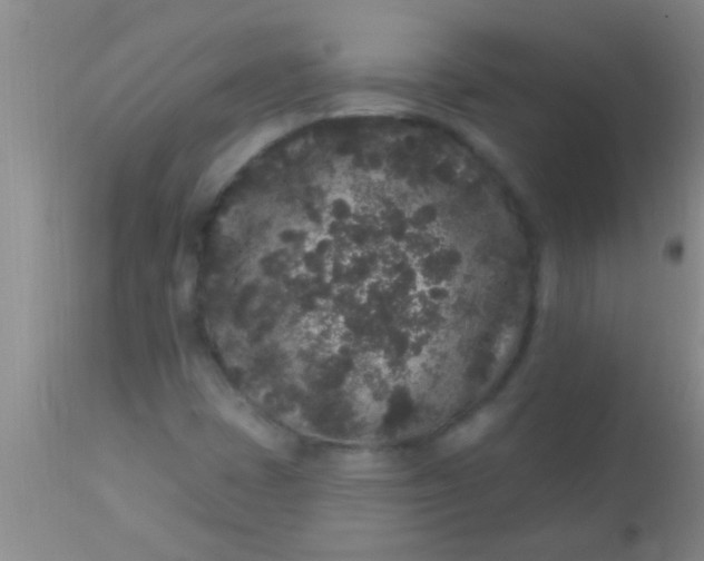 X0000110941401200907022123