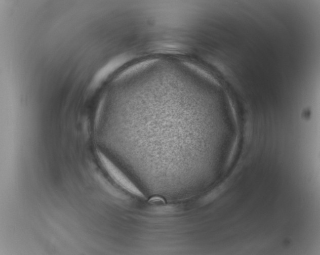 X0000110941402200907022123