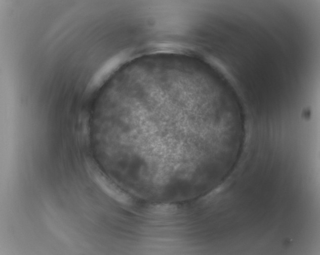 X0000110941403200907022123