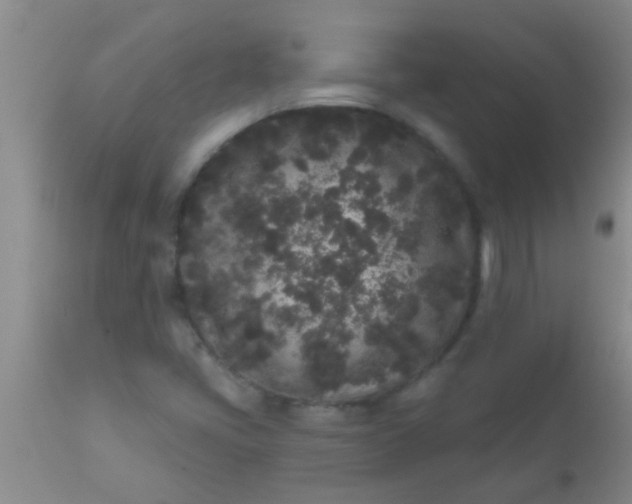 X0000110941405200907022123