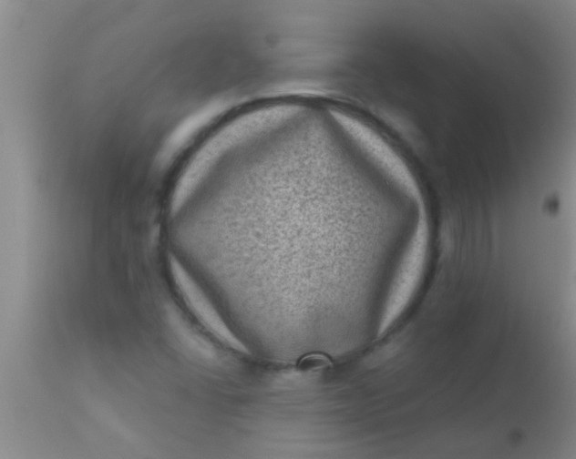 X0000110941406200907022123