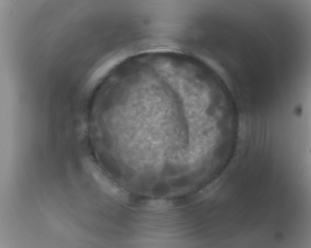 X0000110941407200907022123