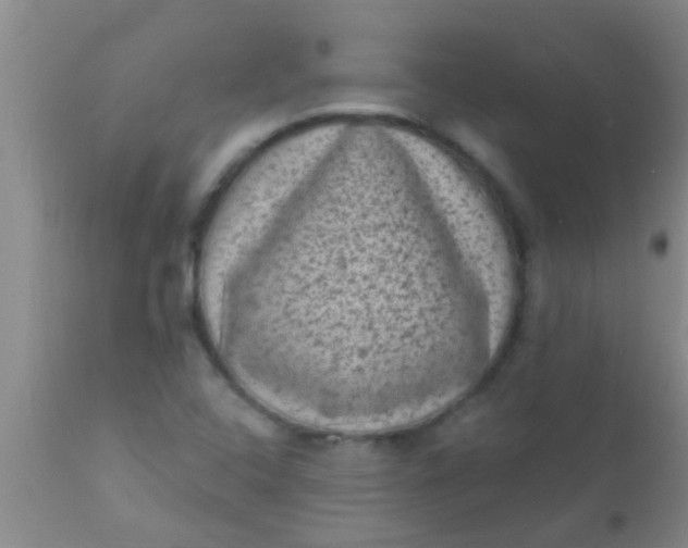 X0000110941408200907022123