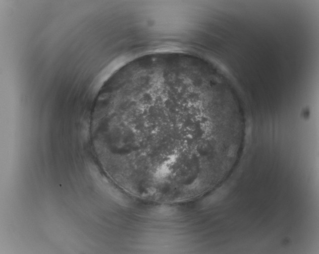 X0000110941409200907022123