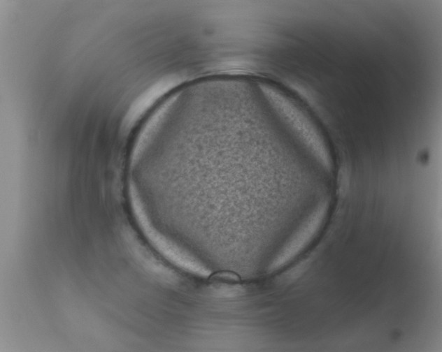 X0000110941410200907022123