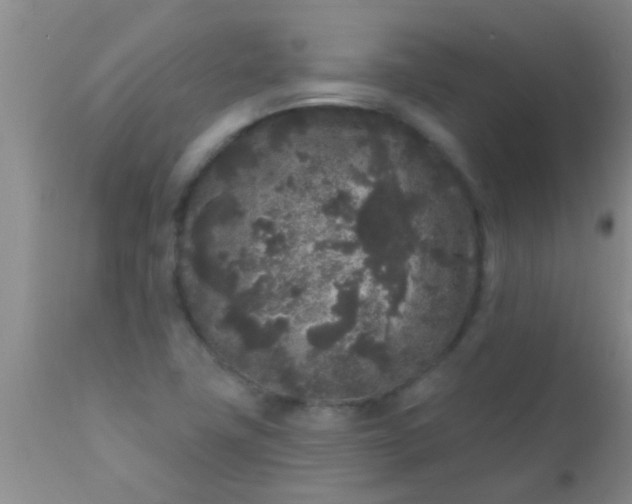 X0000110941411200907022123