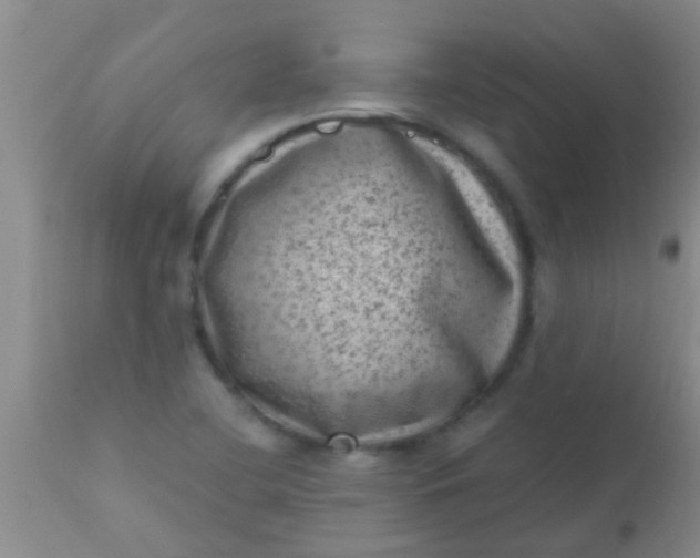 X0000110941412200907022123