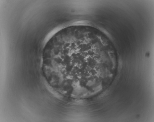 X0000110941413200907022123