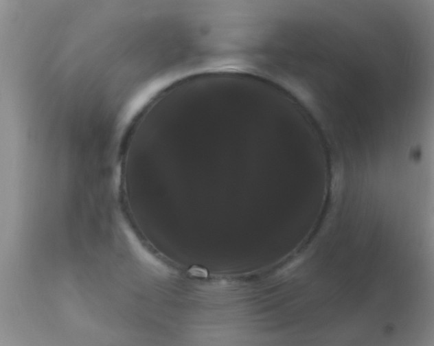 X0000110941414200907022123