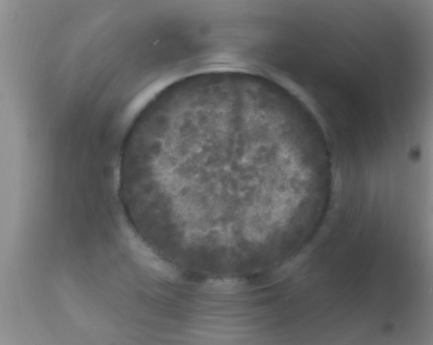 X0000110941415200907022123