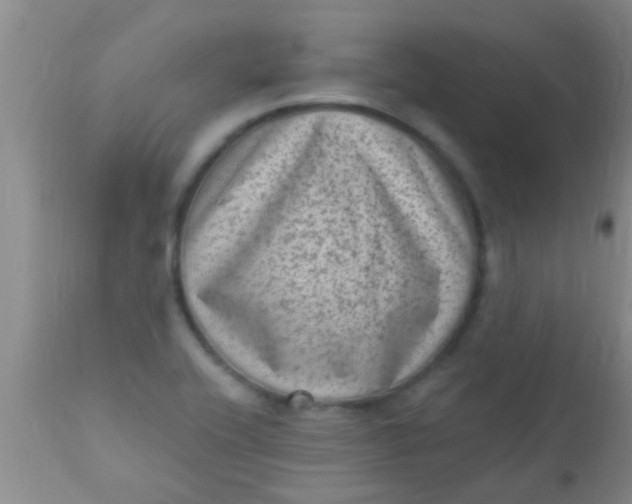 X0000110941416200907022123