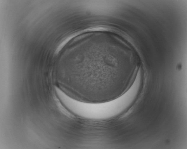 X0000110941417200907022123