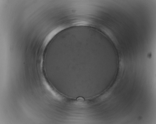 X0000110941418200907022123