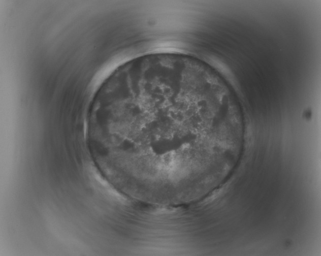 X0000110941419200907022123