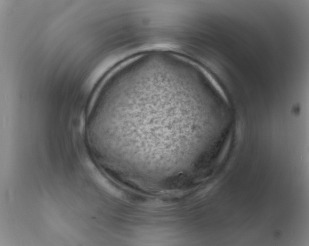 X0000110941420200907022123