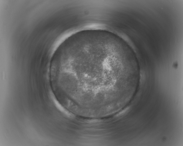 X0000110941421200907022123