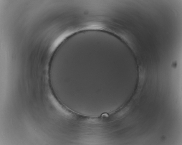 X0000110941422200907022123