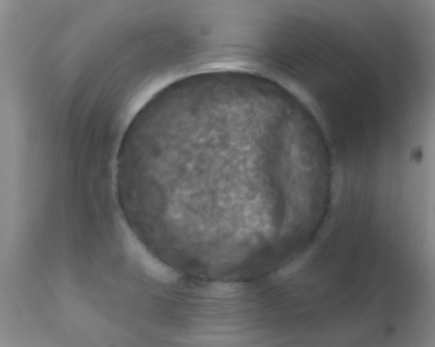 X0000110941423200907022123