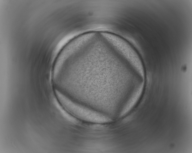 X0000110941424200907022123