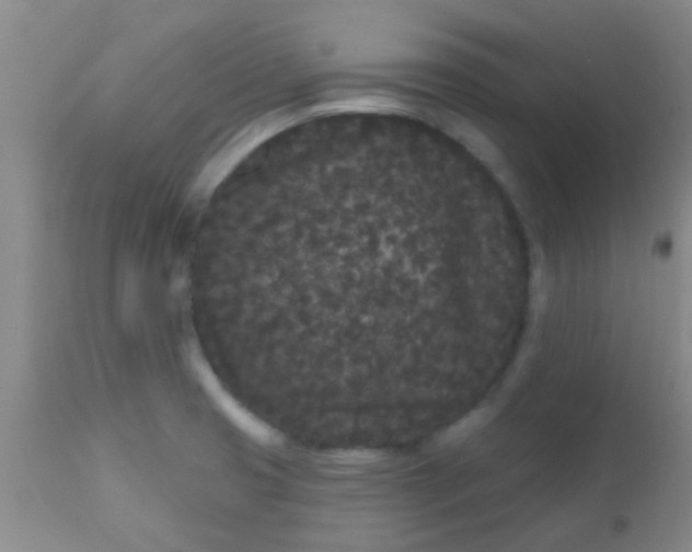 X0000110941425200907022123