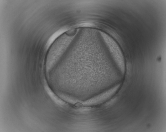 X0000110941426200907022123