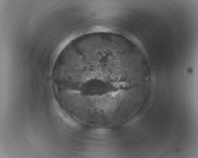 X0000110941427200907022123