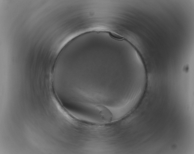 X0000110941428200907022123