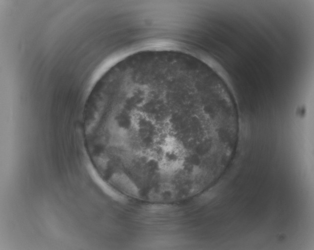 X0000110941429200907022123