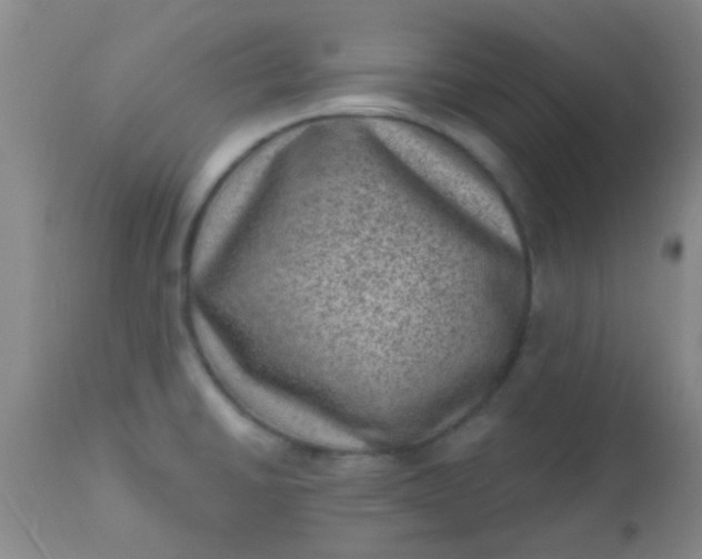 X0000110941430200907022123