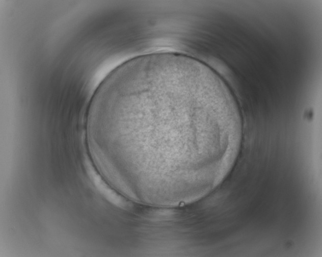 X0000110941431200907022123