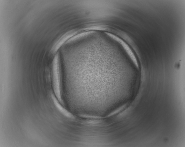 X0000110941433200907022123