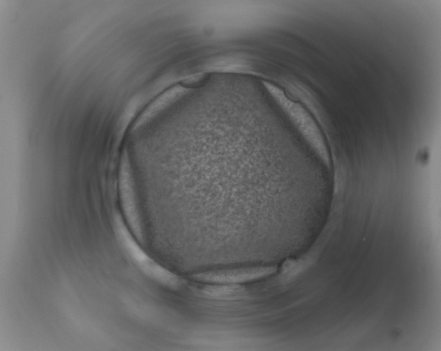 X0000110941434200907022123