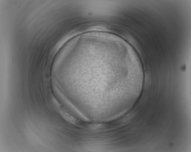 X0000110941435200907022123