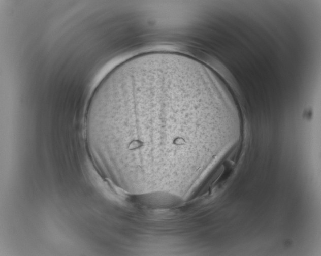 X0000110941436200907022123