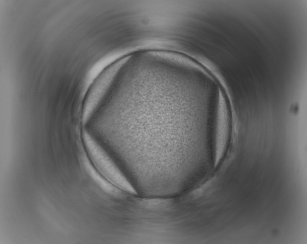 X0000110941437200907022123