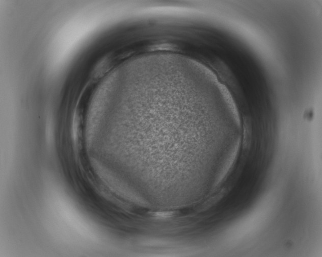 X0000110941438200907022123