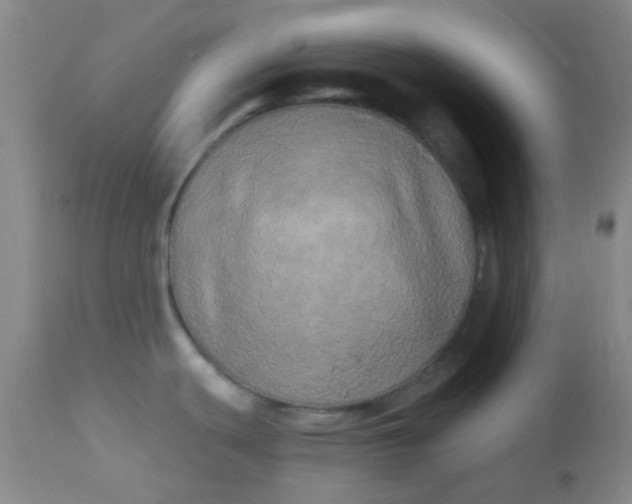 X0000110941439200907022123