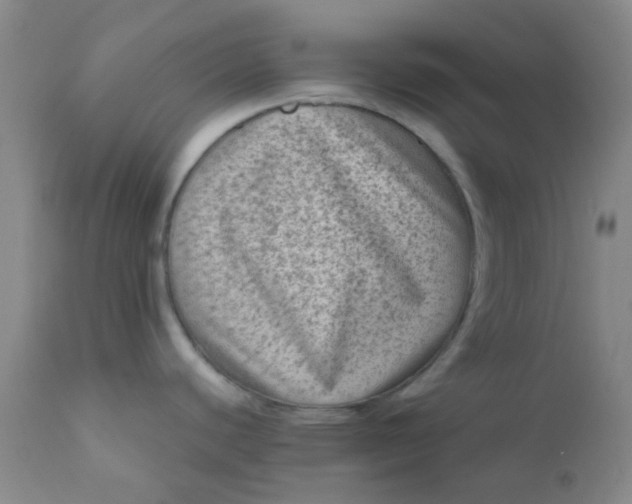 X0000110941440200907022123