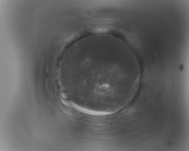 X0000110941441200907022123