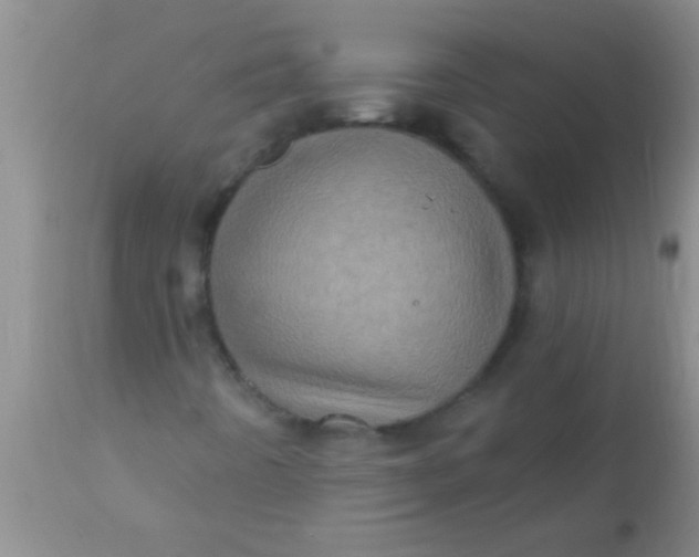 X0000110941442200907022123