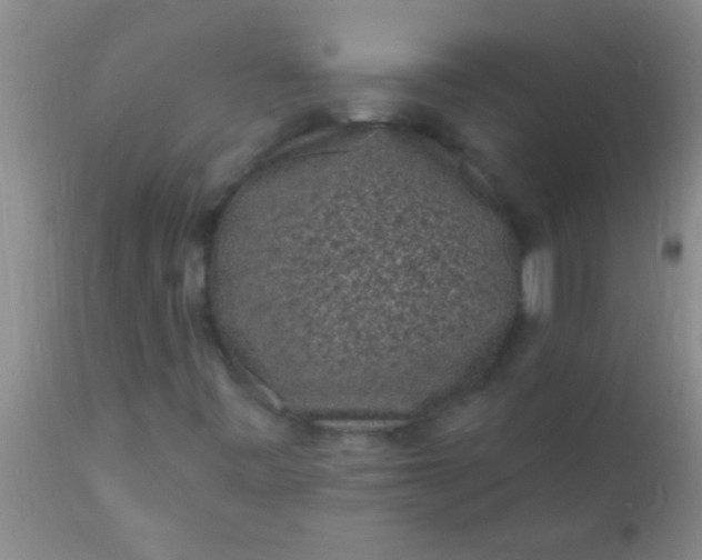 X0000110941443200907022122