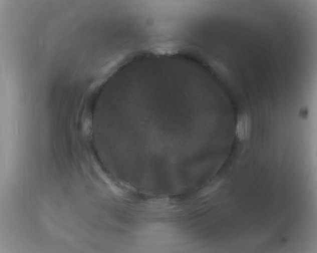 X0000110941444200907022122