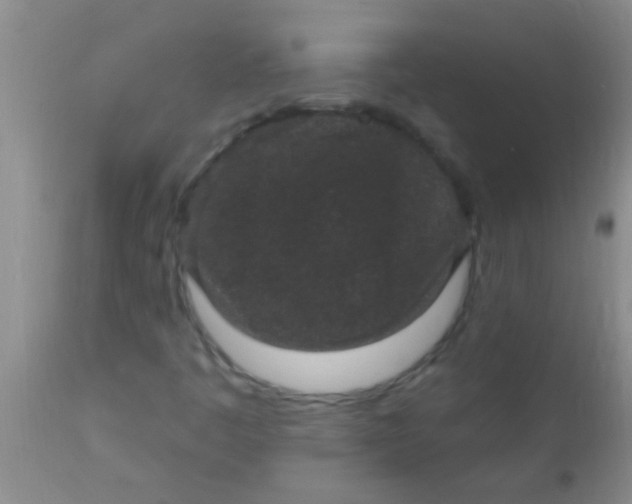 X0000110941445200907022122