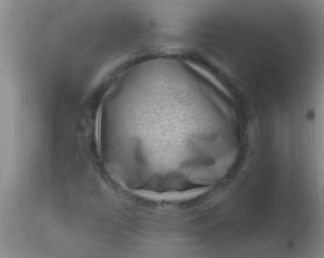 X0000110941447200907022122