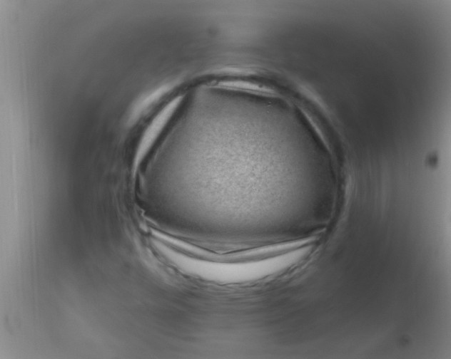 X0000110941448200907022122