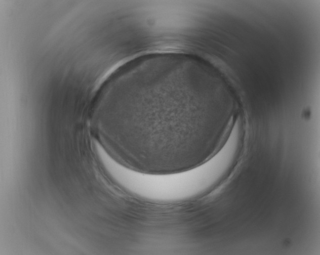 X0000110941449200907022122