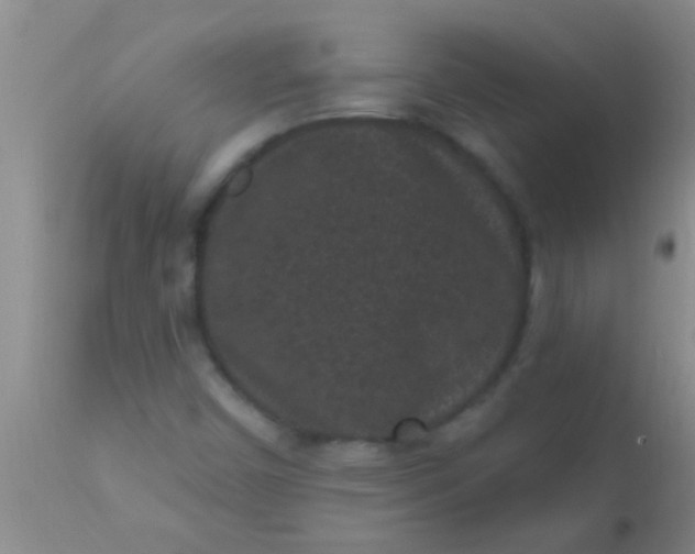 X0000110941450200907022122