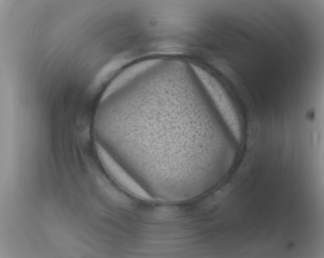 X0000110941451200907022122